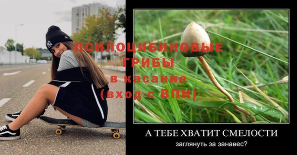дмт Алексин