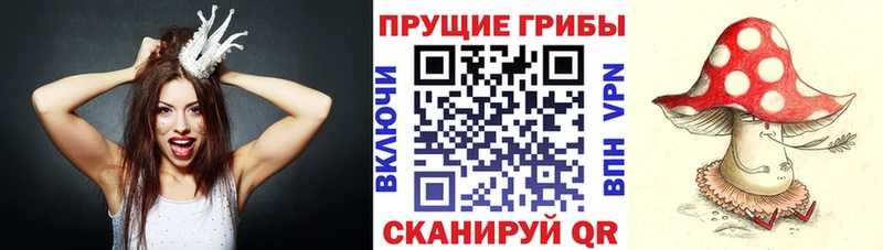 Галлюциногенные грибы GOLDEN TEACHER  где найти наркотики  Жуков 